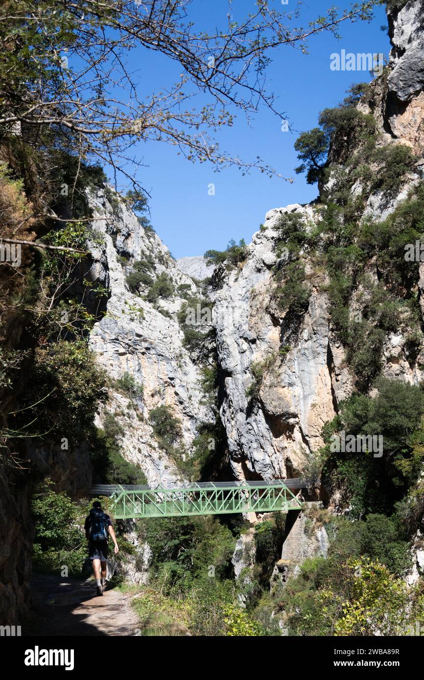 Puente de Los Rebecos Asturias Kastilien und Leon Puente de Los Rebecos Asturias Kastilien und Leon. Wanderroute in den atemberaubenden Bergen und Landschaften Stockfoto