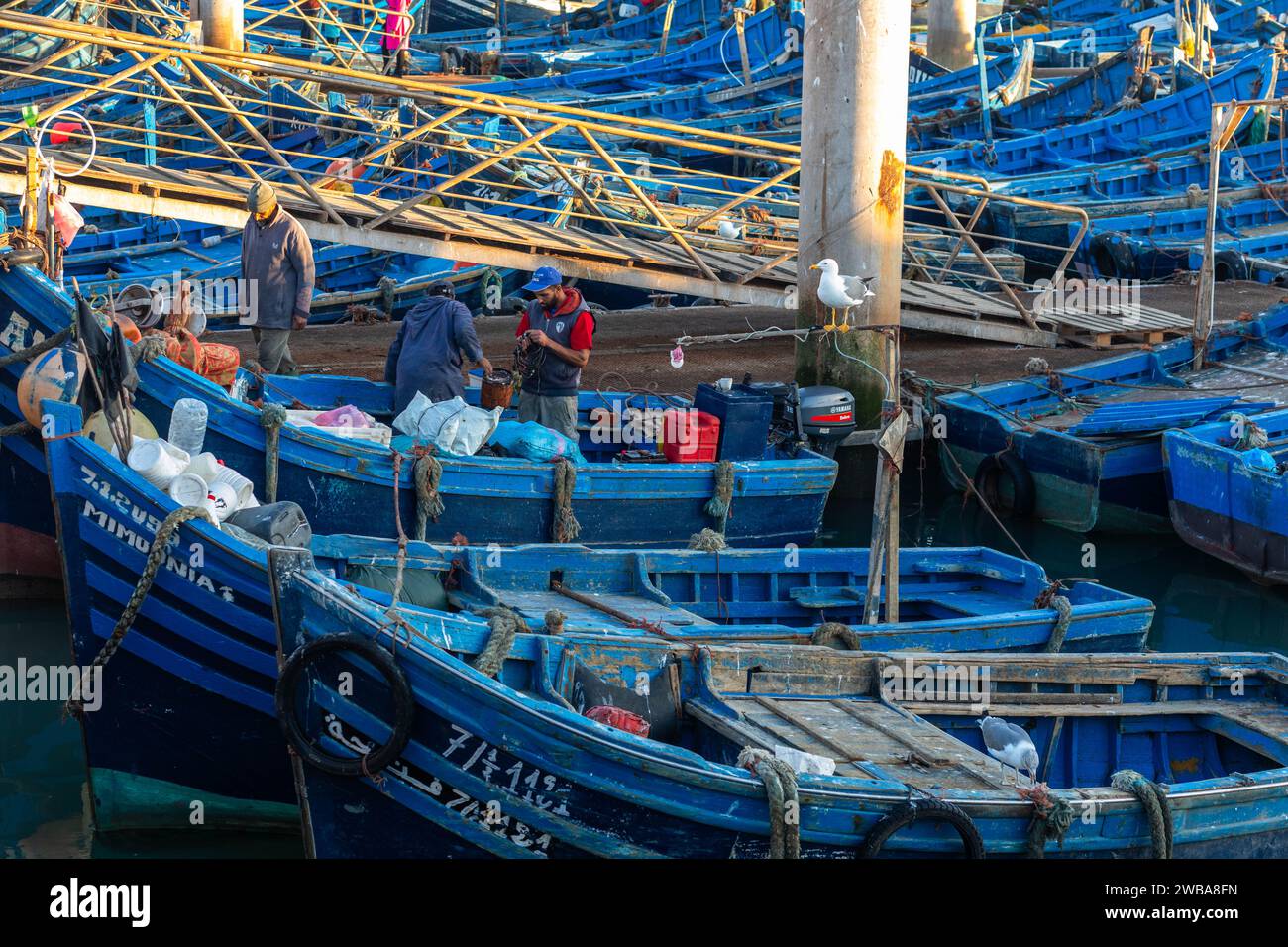 Fischer, die ihren Fang am Ende des Tages sortieren, Essaouria, Marokko Stockfoto