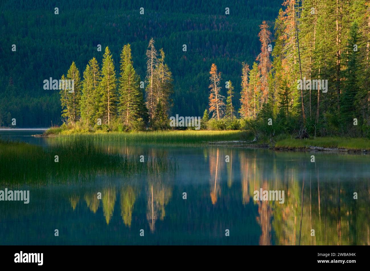 Holland-See, Flathead National Forest, Montana Stockfoto