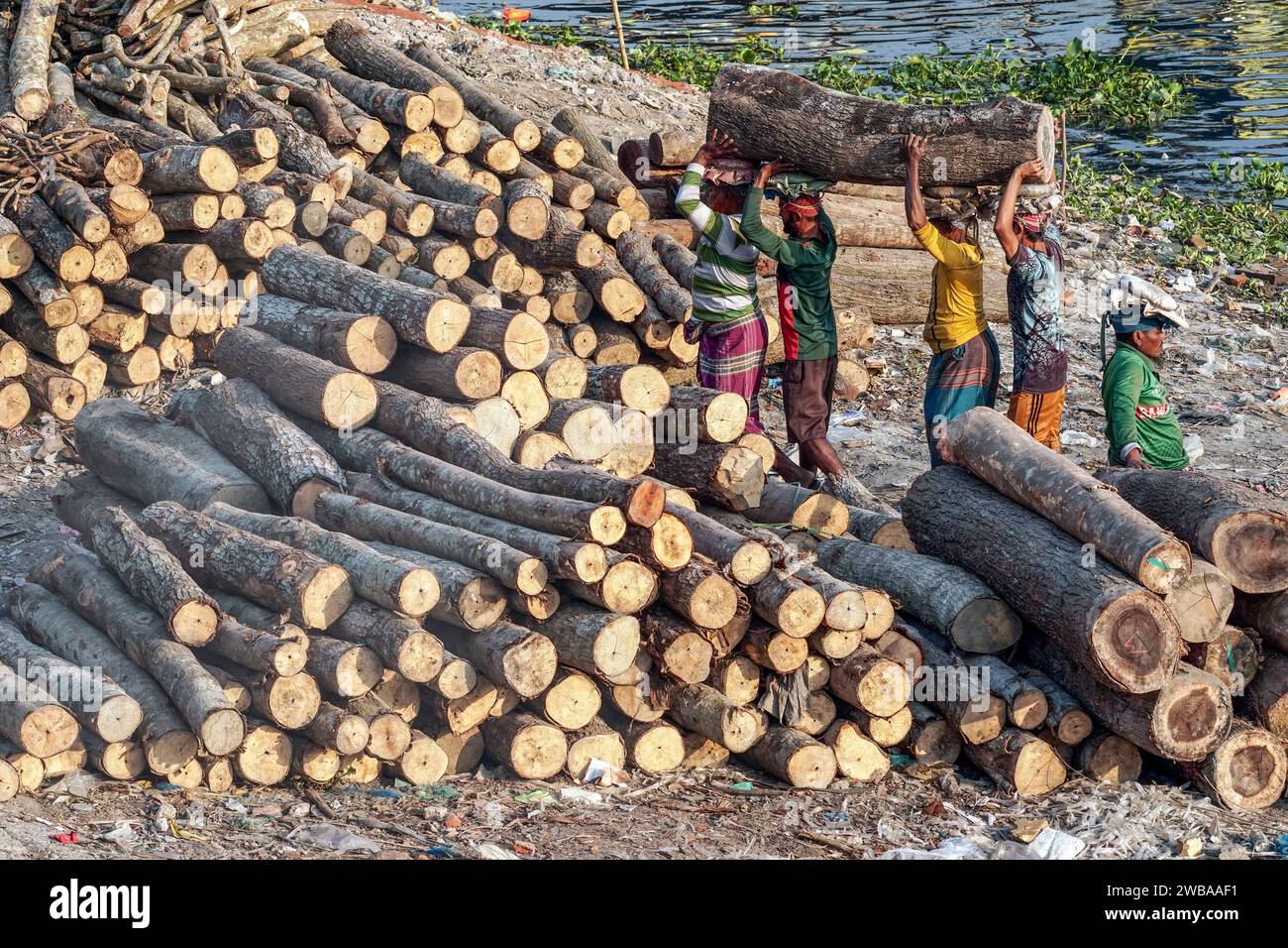 Träger transportieren schwere Baumstämme am Ufer des Buriganga River in Dhaka Bangladesch Stockfoto