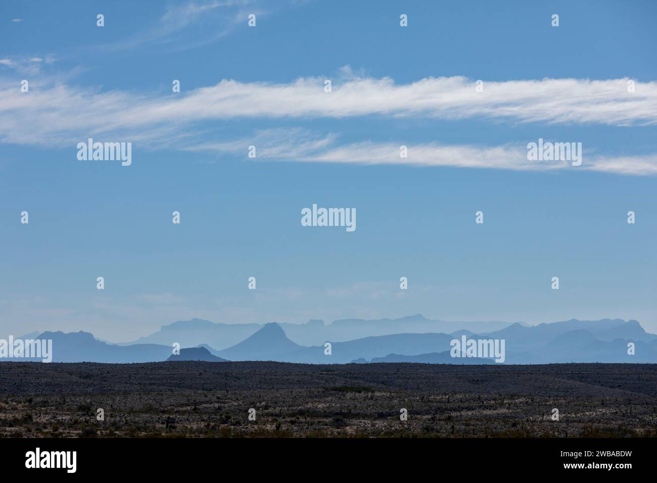 Chisos Mountains in Big Bend NP in Texas Stockfoto