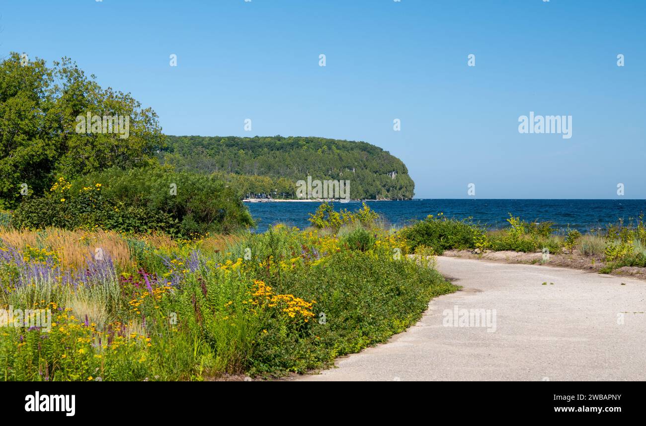 Wunderschöne bunte Wildblumen entlang eines Weges in der Nähe des Ufers eines Sees an einem sonnigen Tag mit klarem blauem Himmel. Stockfoto