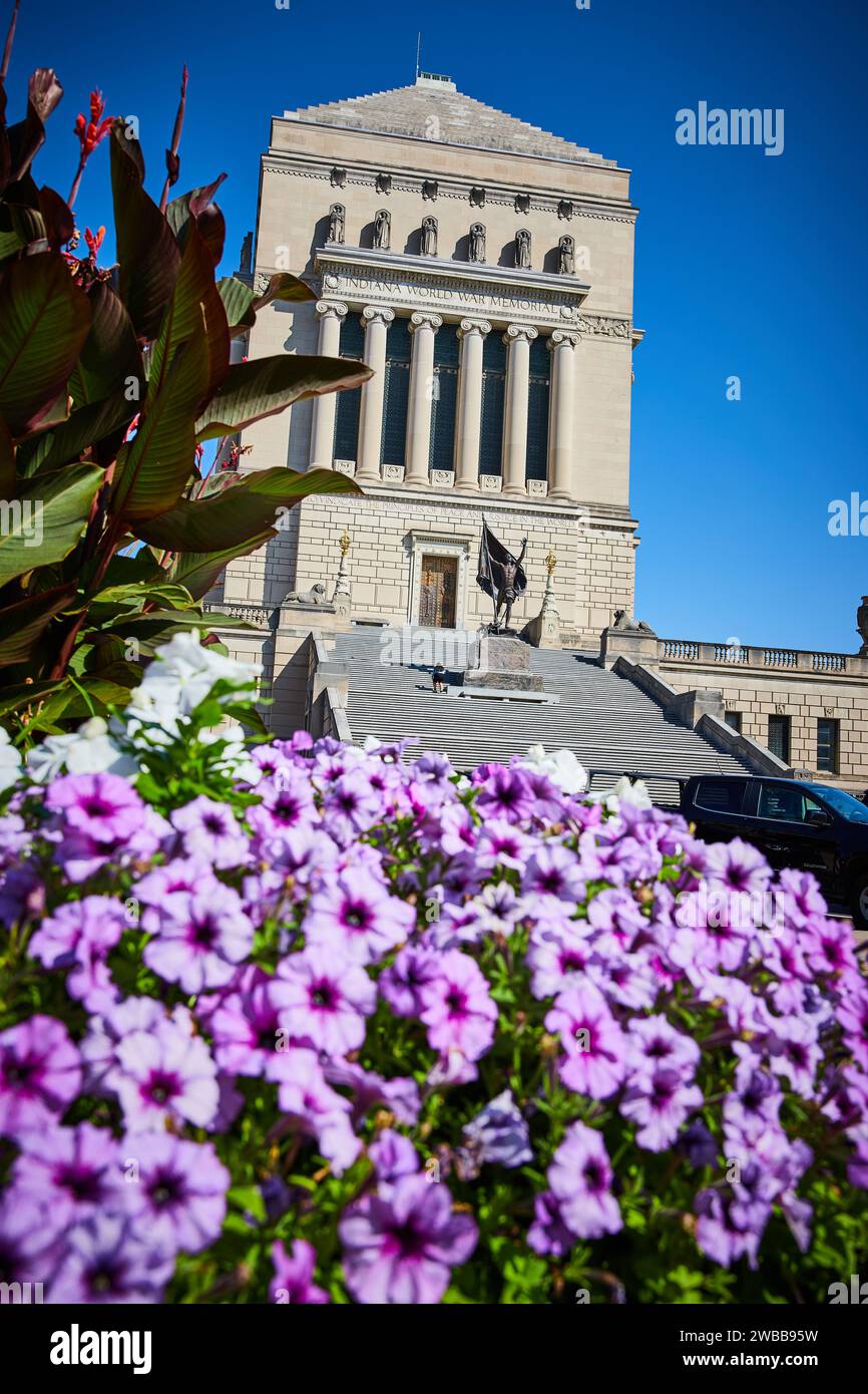 Indiana war Memorial mit Purple Petunias, sonniger Tag Stockfoto