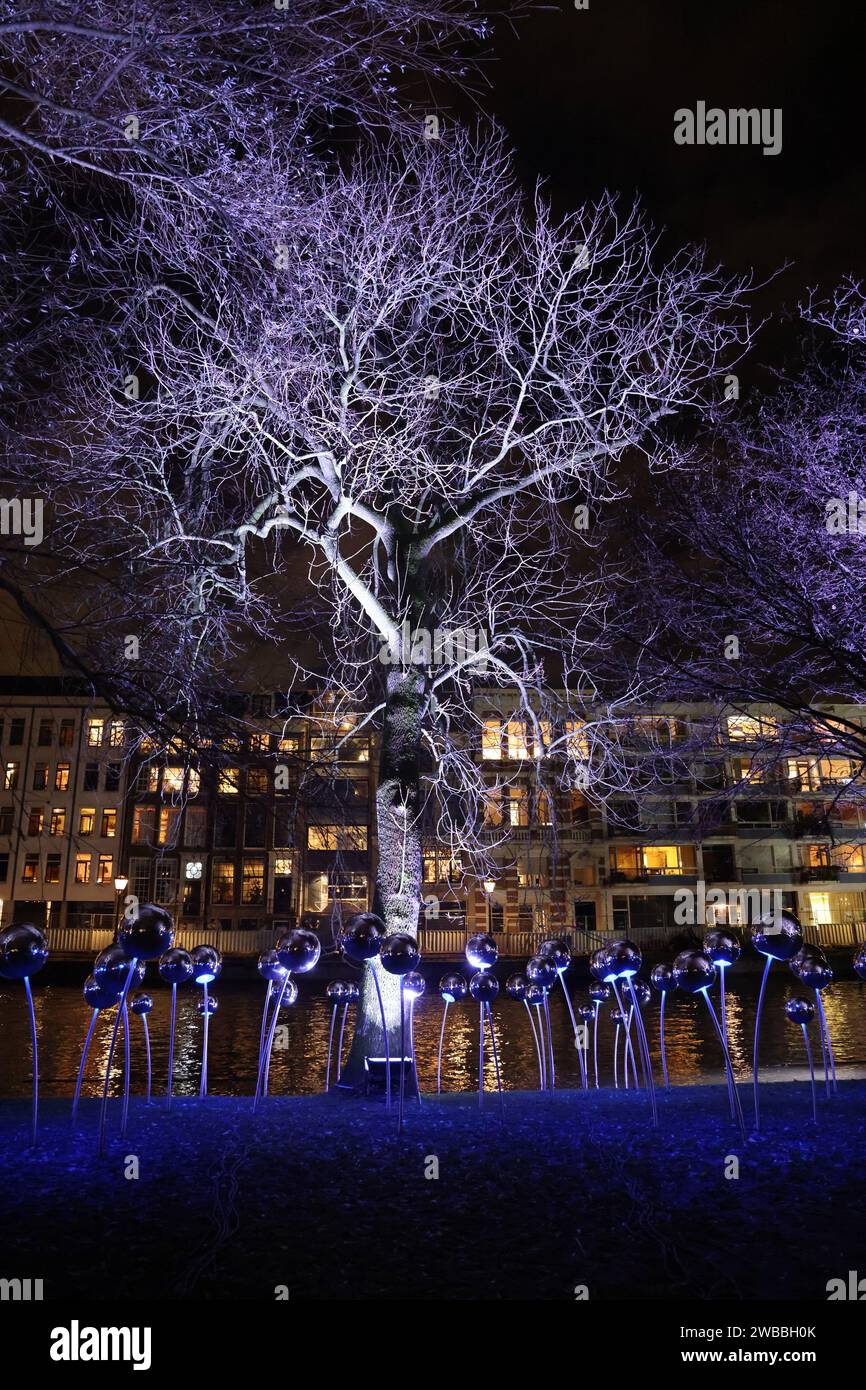 Lichtkunstwerke mit beleuchteten Bäumen (beleuchtete Bäume) im Wertheimpark entlang der Nieuwe Herengracht während des Amsterdam Light Festival 2023: Pool of Dreams Stockfoto