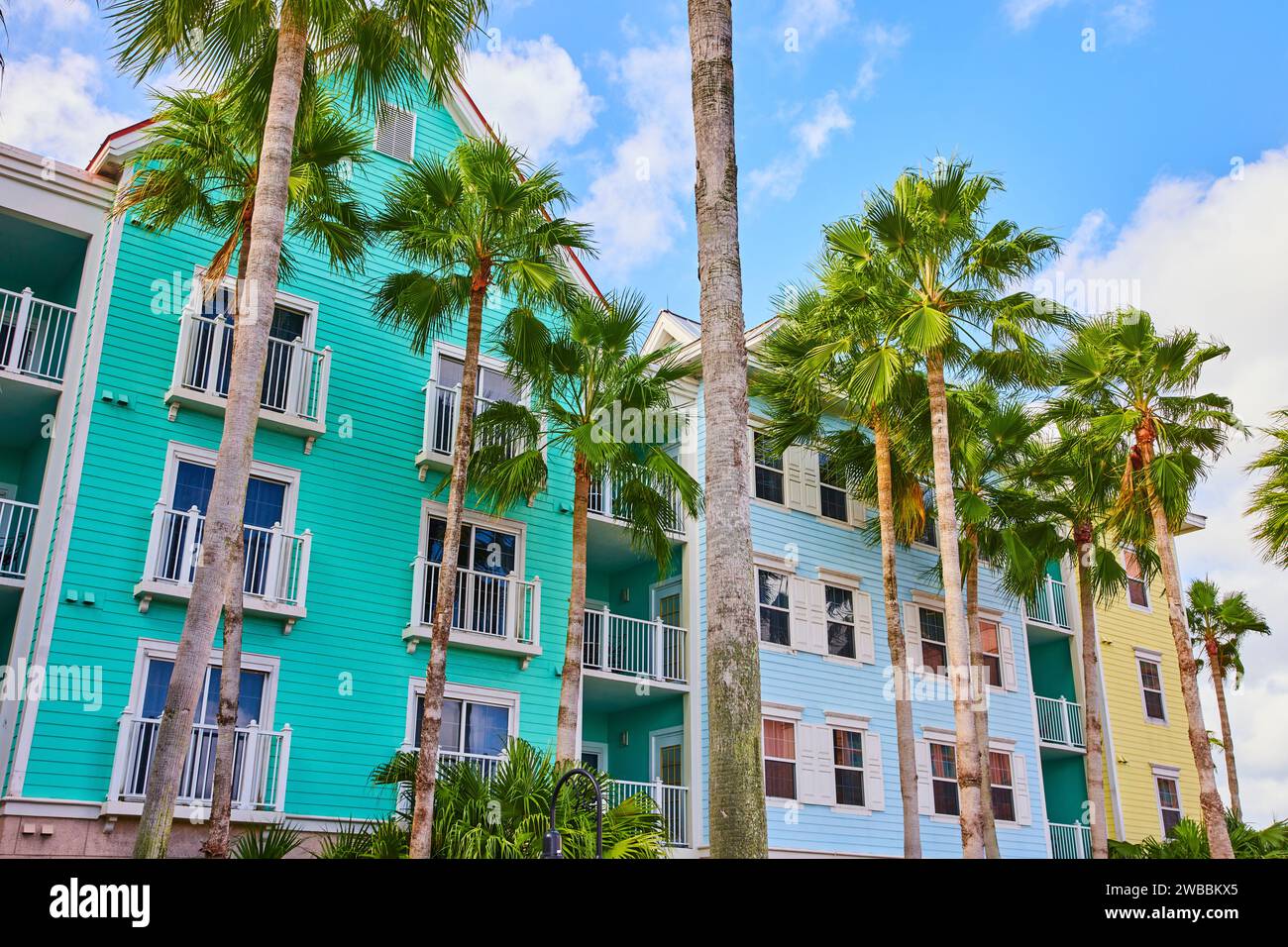 Farbenfrohe karibische Gebäude und Palmen, Blick auf Nassau Street Stockfoto