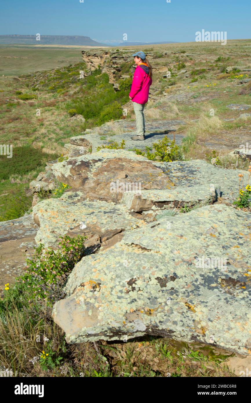 Blick entlang Loop Trail Klippe, ersten Völker Buffalo Jump State Park, Montana Stockfoto