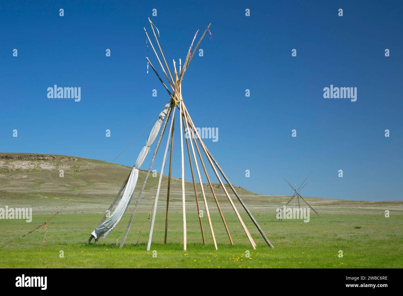 Tipi, First Peoples Buffalo Jump State Park, Montana Stockfoto