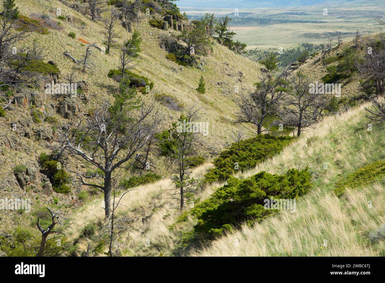 Blick von Crown Butte, Crown Butte Preserve, Montana Stockfoto