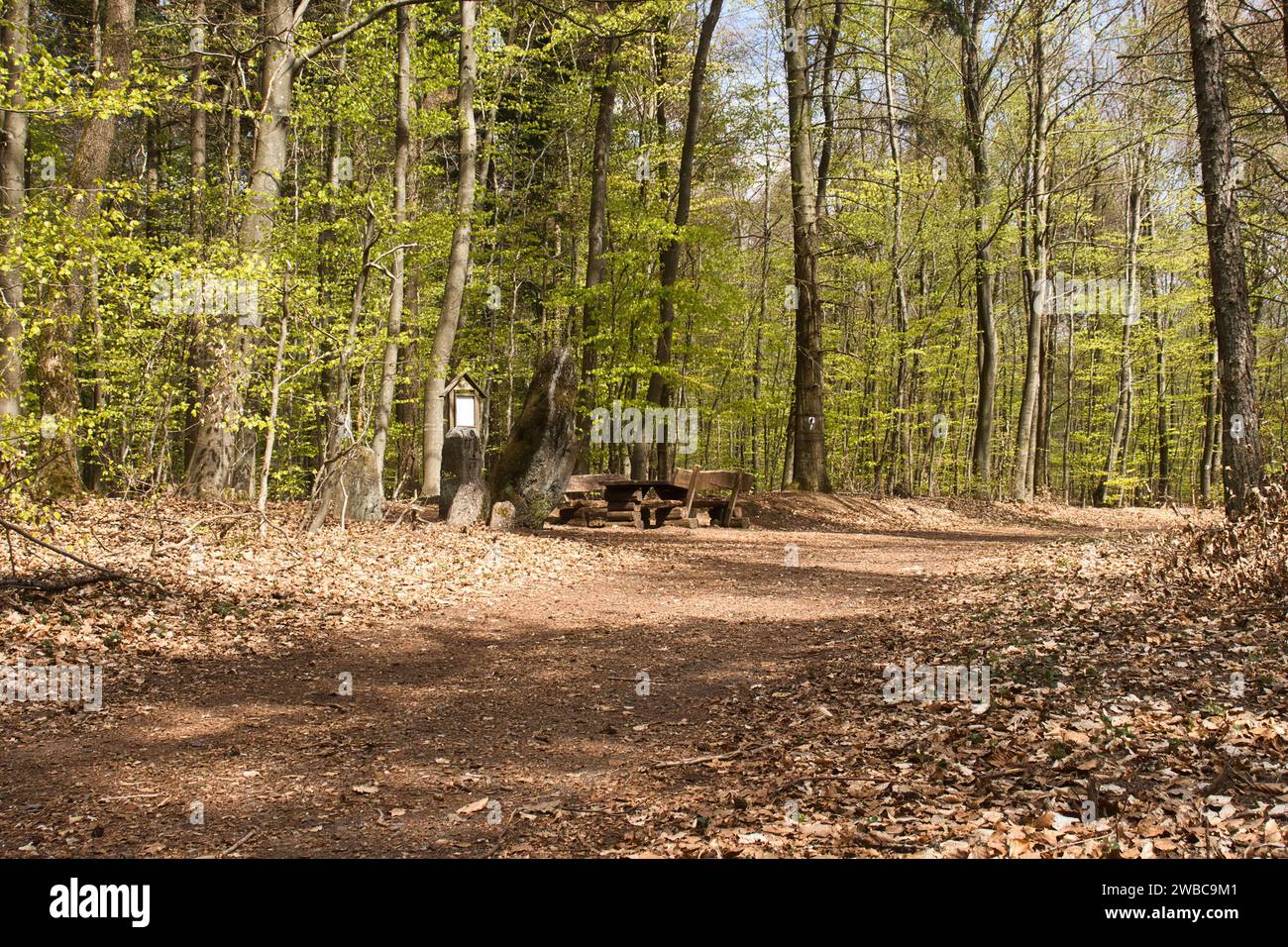 Picknicktisch und Stein am Hinkelstein-Denkmal im Pfälzerwald an einem Frühlingstag. Stockfoto