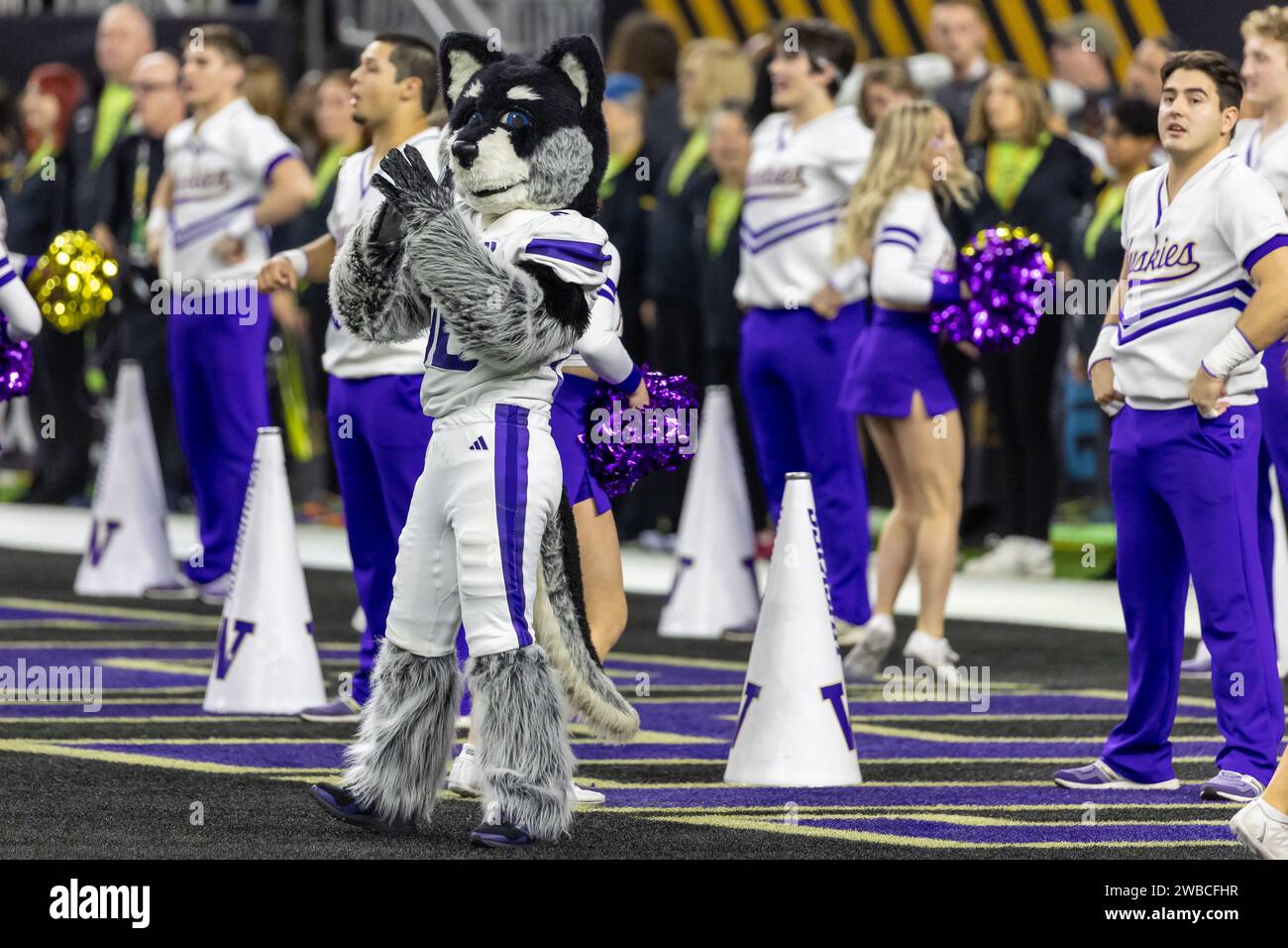 Das Maskottchen der Washington Huskies während des Spiels der College Football Playoff National Championship 2024 am Montag, 20. Februar 2023, in Houston, Texas. Michigan Stockfoto