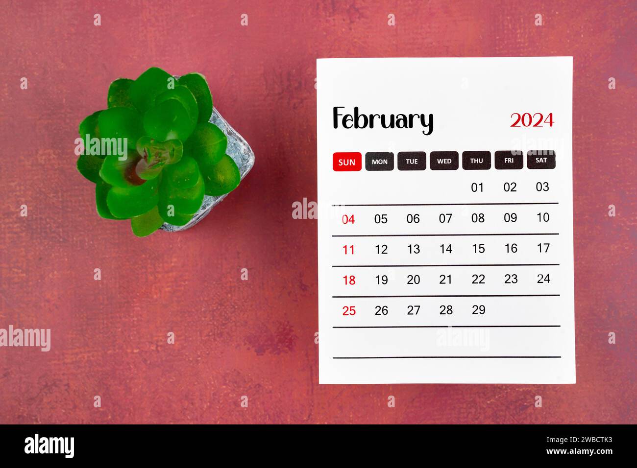 Kalenderseite für Februar 2024 und Zimmerpflanze zum Retro-Hintergrund, Planungskonzept. Stockfoto