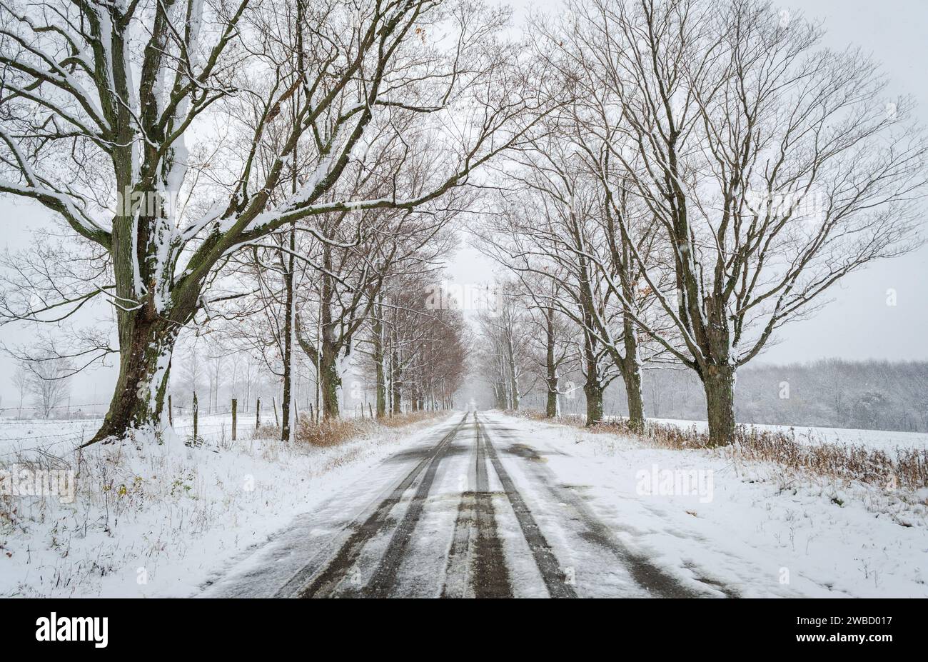 Eine Landstraße in Sugar Grove, Pennsylvania Stockfoto