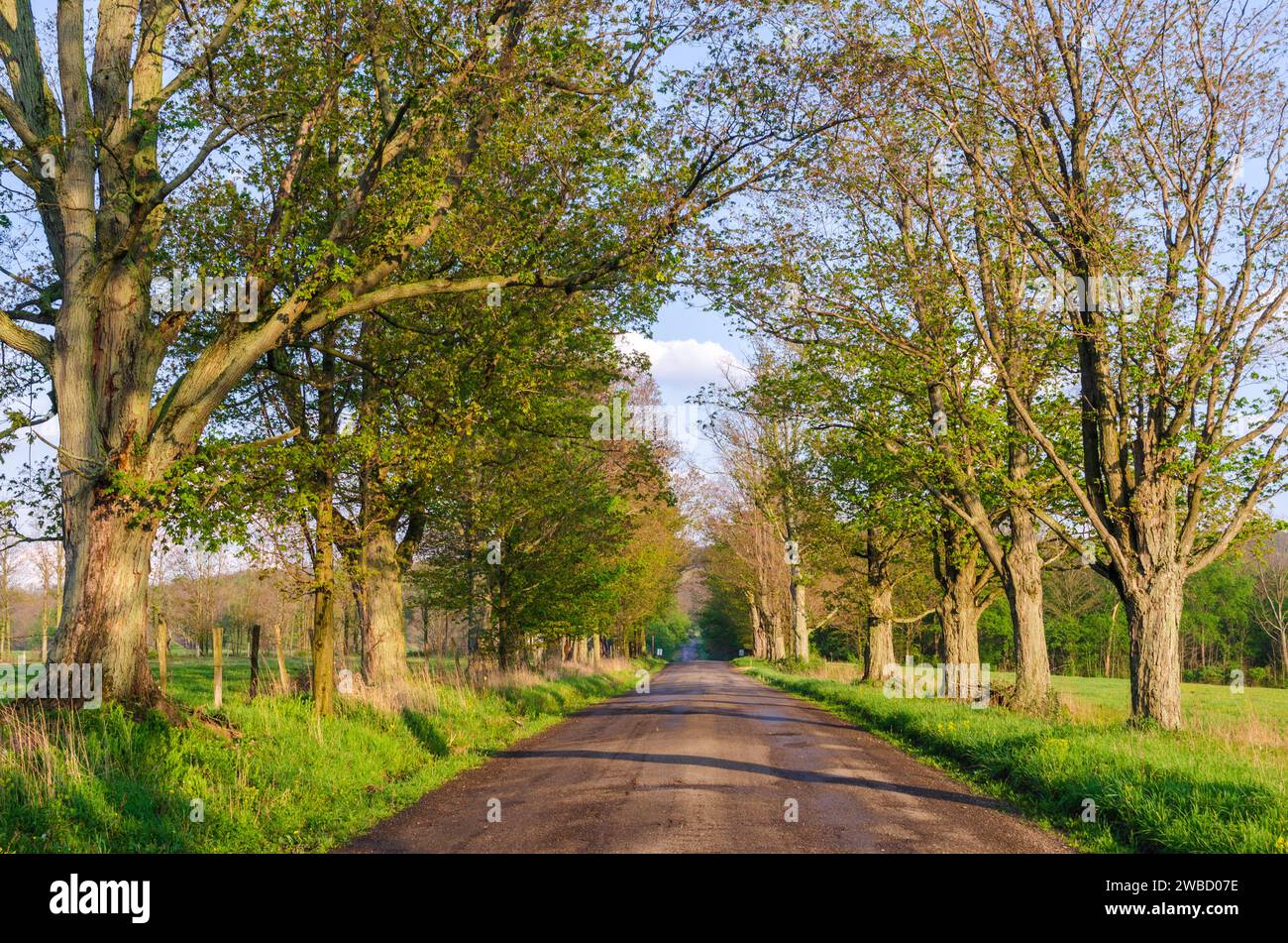 Eine Landstraße in Sugar Grove, Pennsylvania Stockfoto