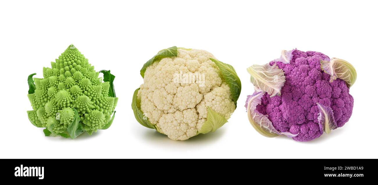 Blumenkohl und romanischer Brokkoli isoliert auf weiß Stockfoto