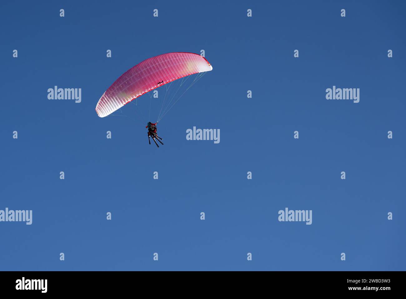 Gleitschirmflieger in der Mitte des Fluges. Extremer Outdoor-Sport. Blauer Himmel Stockfoto