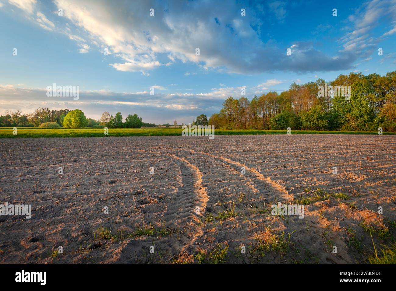 Abendlicher Blick auf ein gepflügtes Feld mit Spuren landwirtschaftlicher Traktorräder, Mai Stockfoto