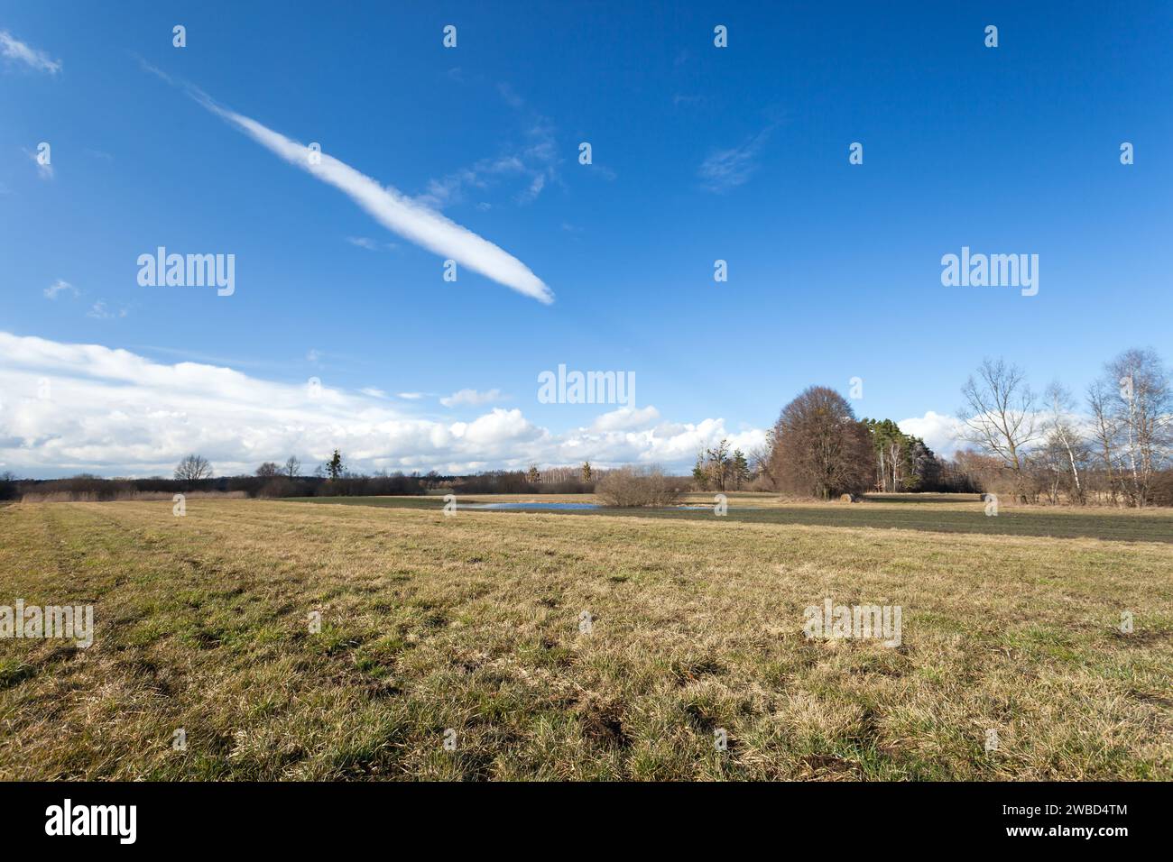 Weiße Langwolke auf blauem Himmel über einer Wiese, Ende Februar, Nowiny in Ostpolen Stockfoto