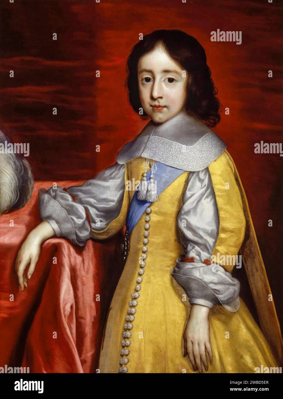 Wilhelm III. Von England, Prinz von Orange (1650–1702) als Kind, später König von England, Irland und Schottland, Porträtmalerei in Öl auf Leinwand nach Cornelius Johnson (Cornelis Janssens van Ceulen), vor 1699 Stockfoto