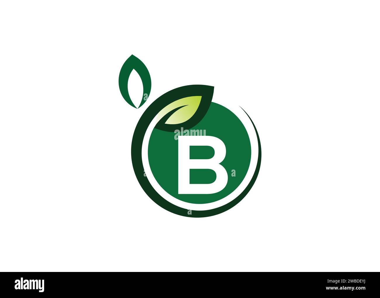 Letter B Green Leaf Logo Design Vektorvorlage. Buchstabe B Nature Growth Leaf Vektor-Logo Stock Vektor