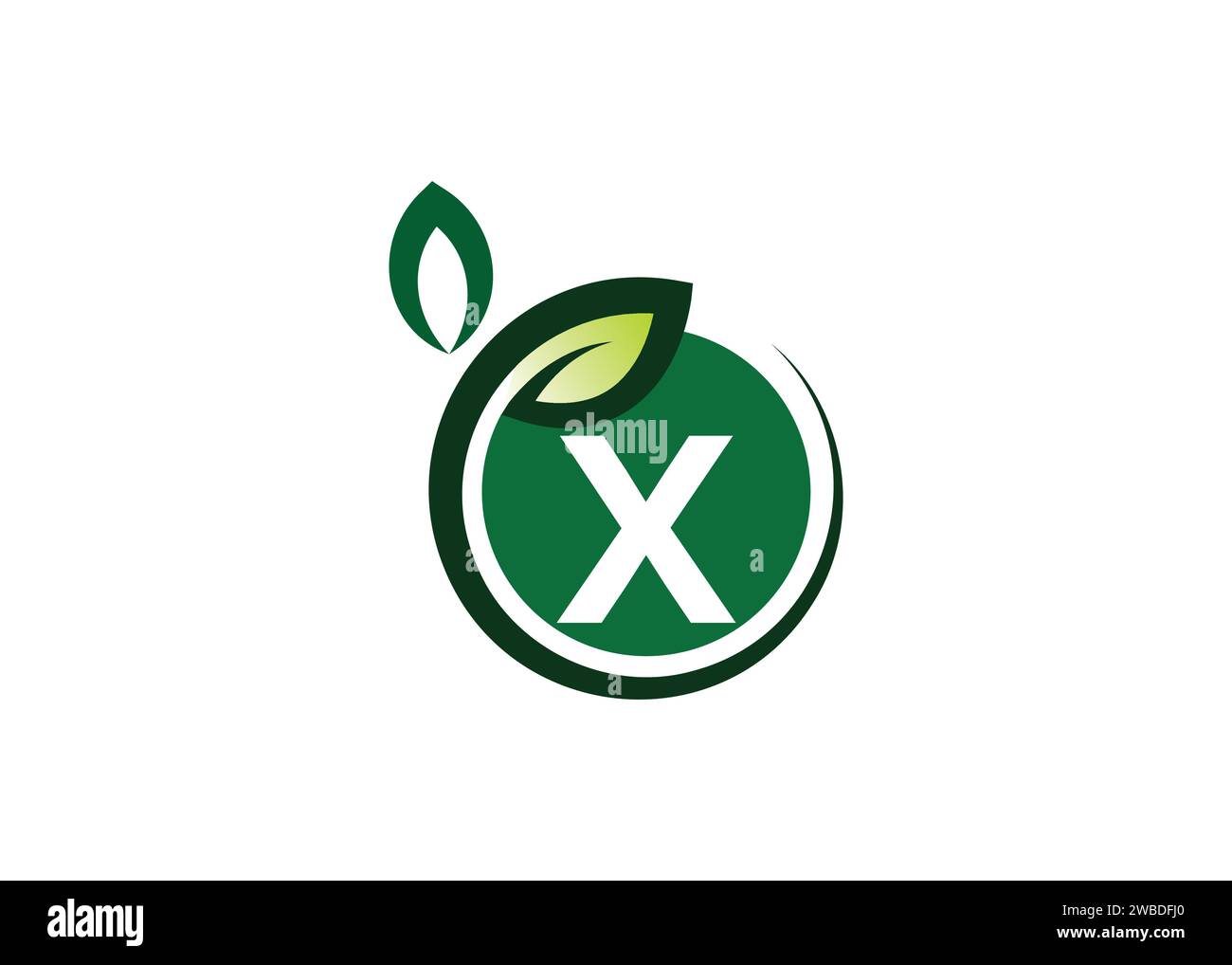 Letter X Green Leaf Logo Design Vektorvorlage. Letter X Nature Growth Leaf Vektor-Logo Stock Vektor