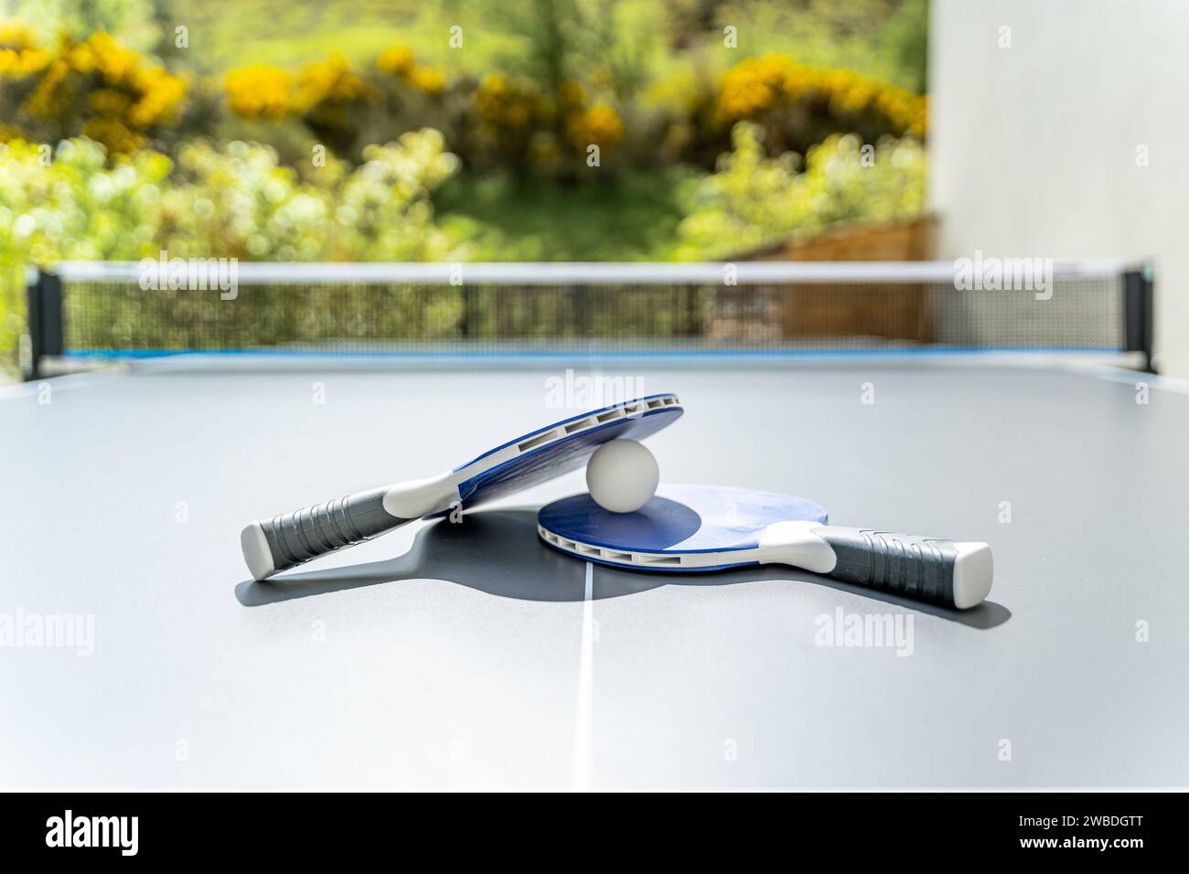 Eine Tischtennisplatte mit Fledermäusen und einem Ball. Stockfoto