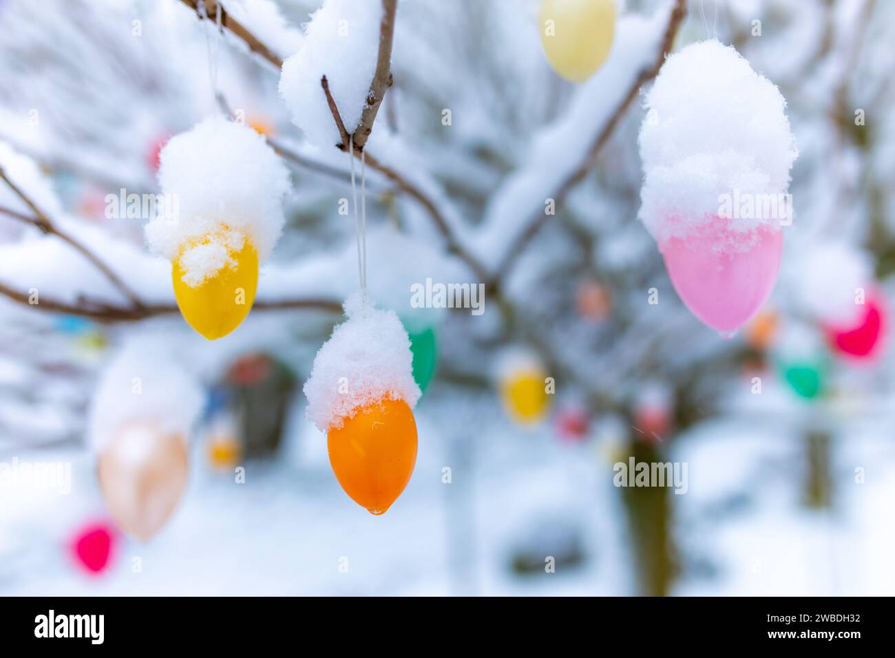 Ostereier mit Schnee bedeckt hängen an Zweigen und Ästen im Garten zur Dekotation Stockfoto