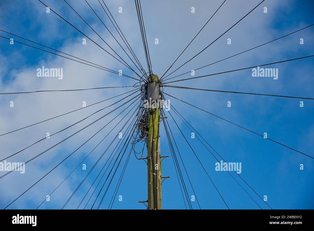Telegrafenmast mit Telefonleitungen, Ribchester, Lancashire, Großbritannien. Stockfoto