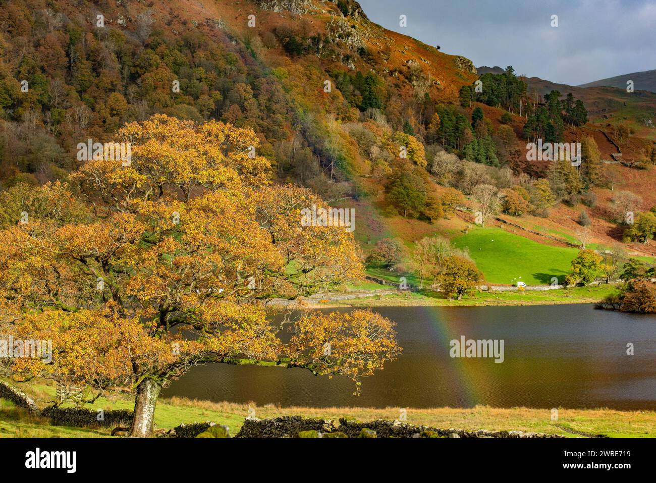 Rainbow bei Rydal Water, Rydal, Ambleside, Cumbria, Großbritannien. Stockfoto