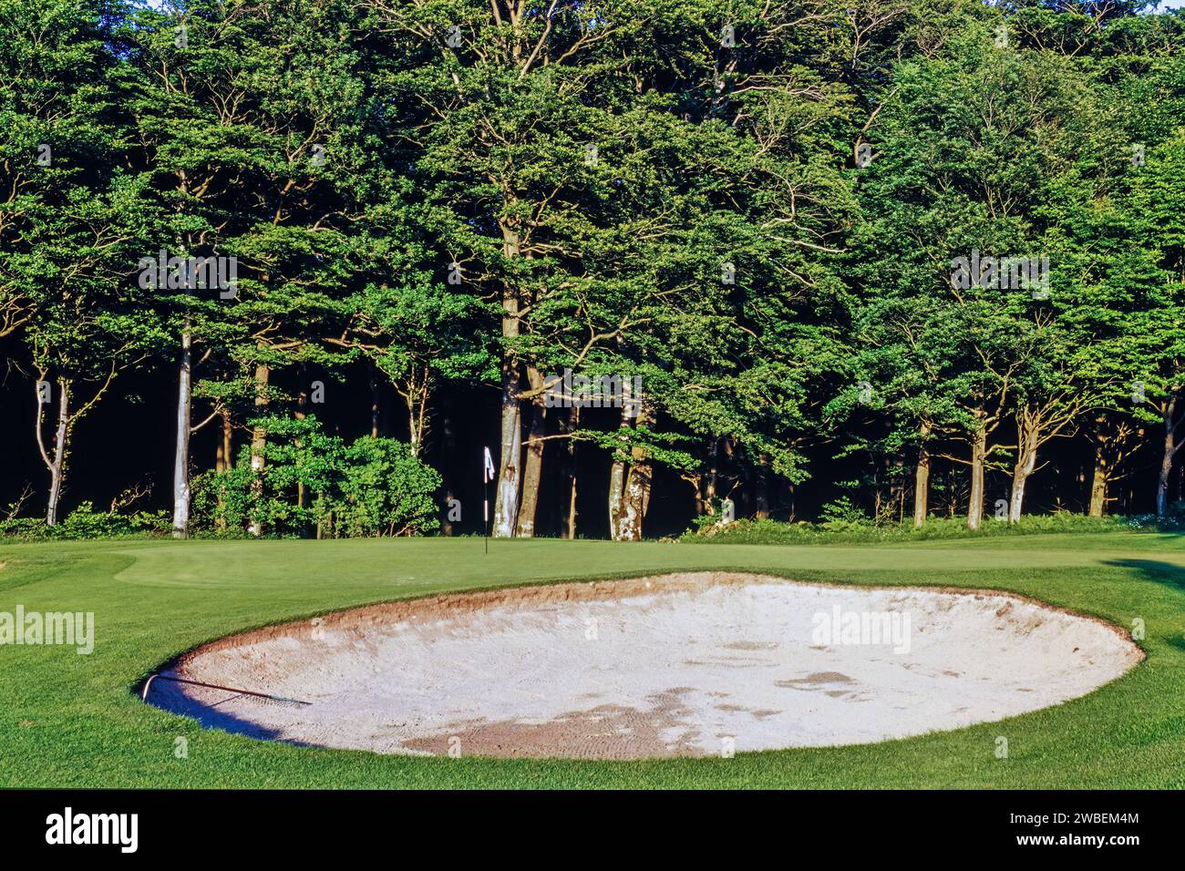 Sandbunker auf einem Golfplatz und einem Putting Green Stockfoto