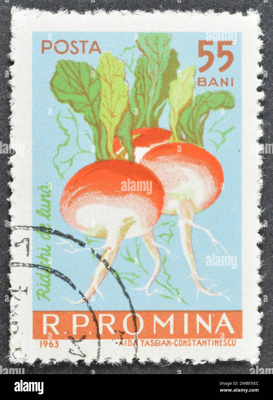 Gestempelte Briefmarke von Rumänien, die Radisch-Radis (Raphanus sativus var. Sativus), ca. 1963. Stockfoto