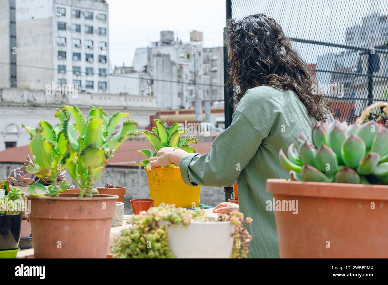 Rückansicht einer jungen, nicht erkennbaren Latina-Frau mit Lockenwicklern, stehend, ihre Pflanzen auf der Terrasse anordnend, Blumen putzend und arrangierend. Erhaltung Co Stockfoto