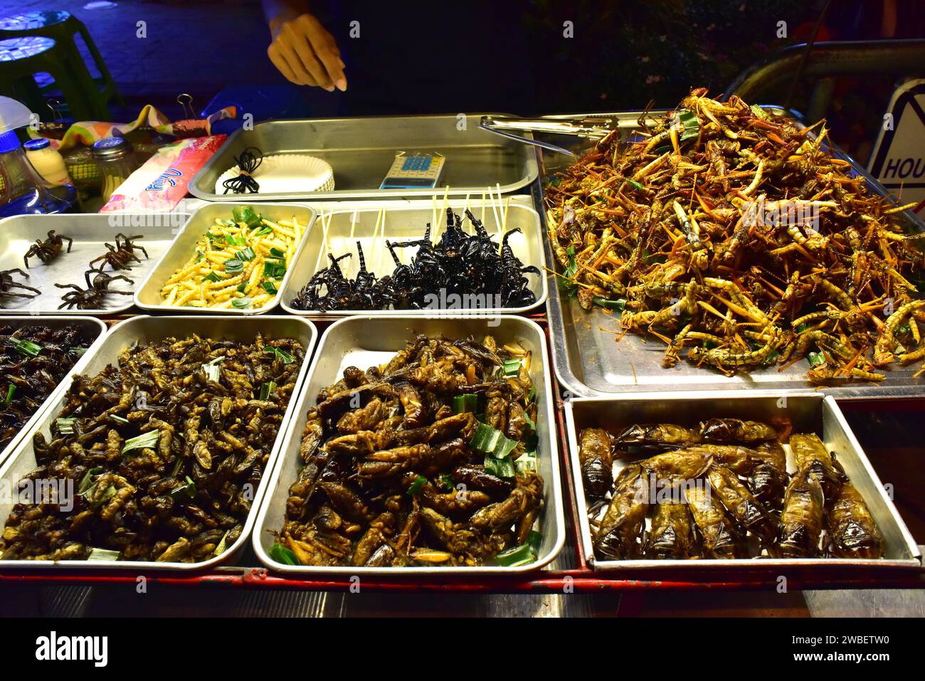 Bangkok, Street Food Stand mit Insekten, Raupen, Spinnen und Skorpionen. Thailand. Stockfoto