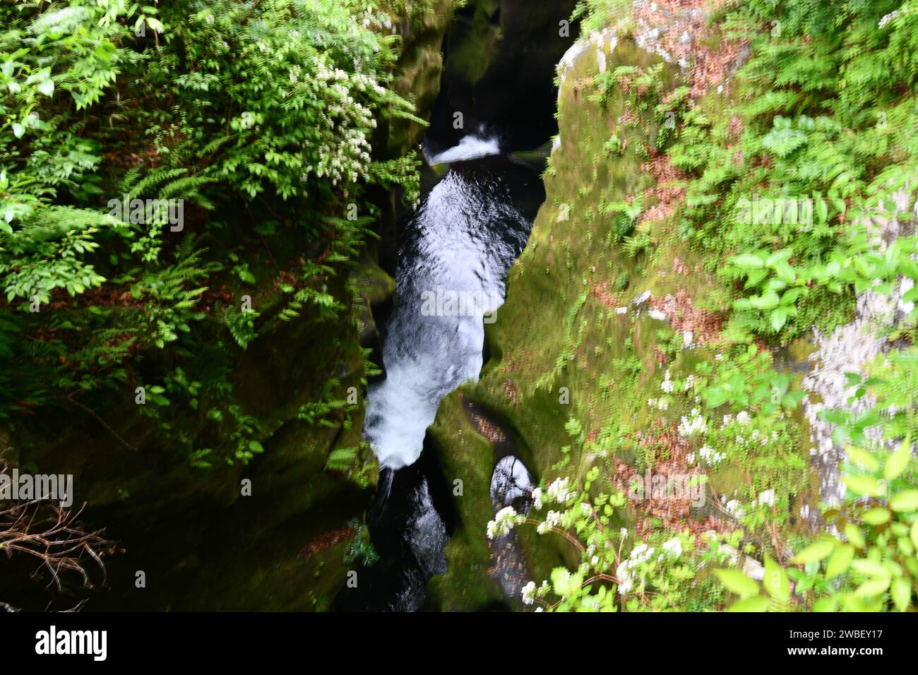 Ein malerischer Blick auf einen Fluss, der sich durch eine üppige und lebhafte Landschaft mit hohen Bäumen und felsigem Gelände schlängelt Stockfoto