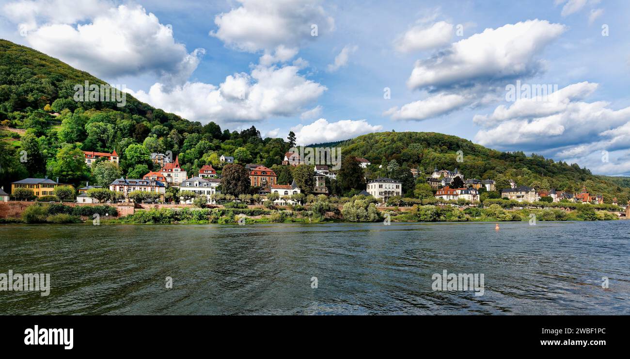 Wohnvorort am Neckar, Heidelberg, Baden Württemberg, Deutschland Stockfoto