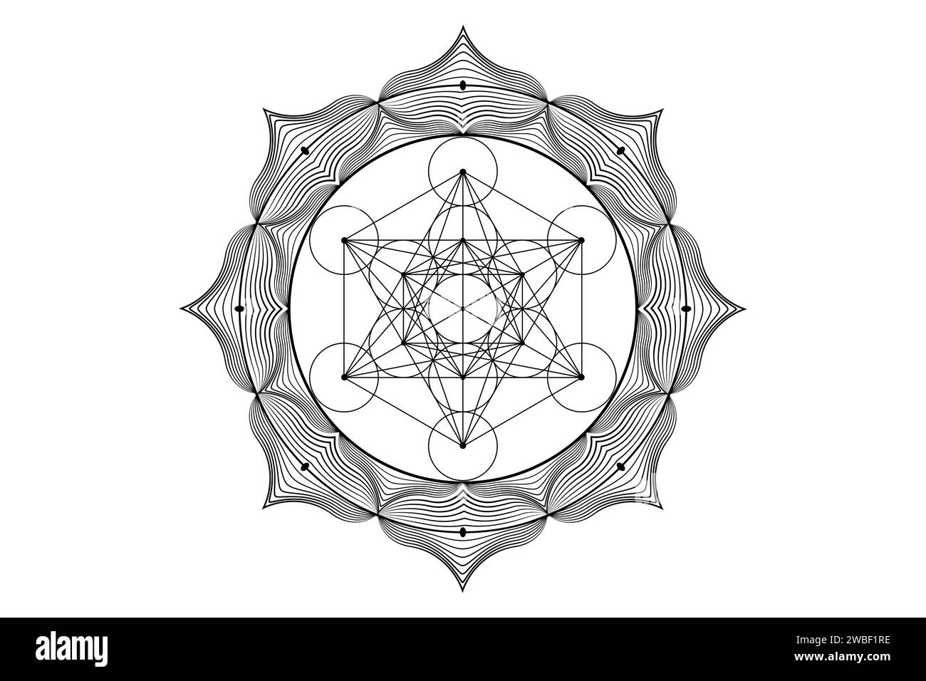 Heiliges Mandala des Metatrons Cube, mystische Blume des Lebens. Heilige Geometrie, grafisches Element Vektor isolierte Illustration. Platonische Volumenkörper mit mystischem Symbol Stock Vektor