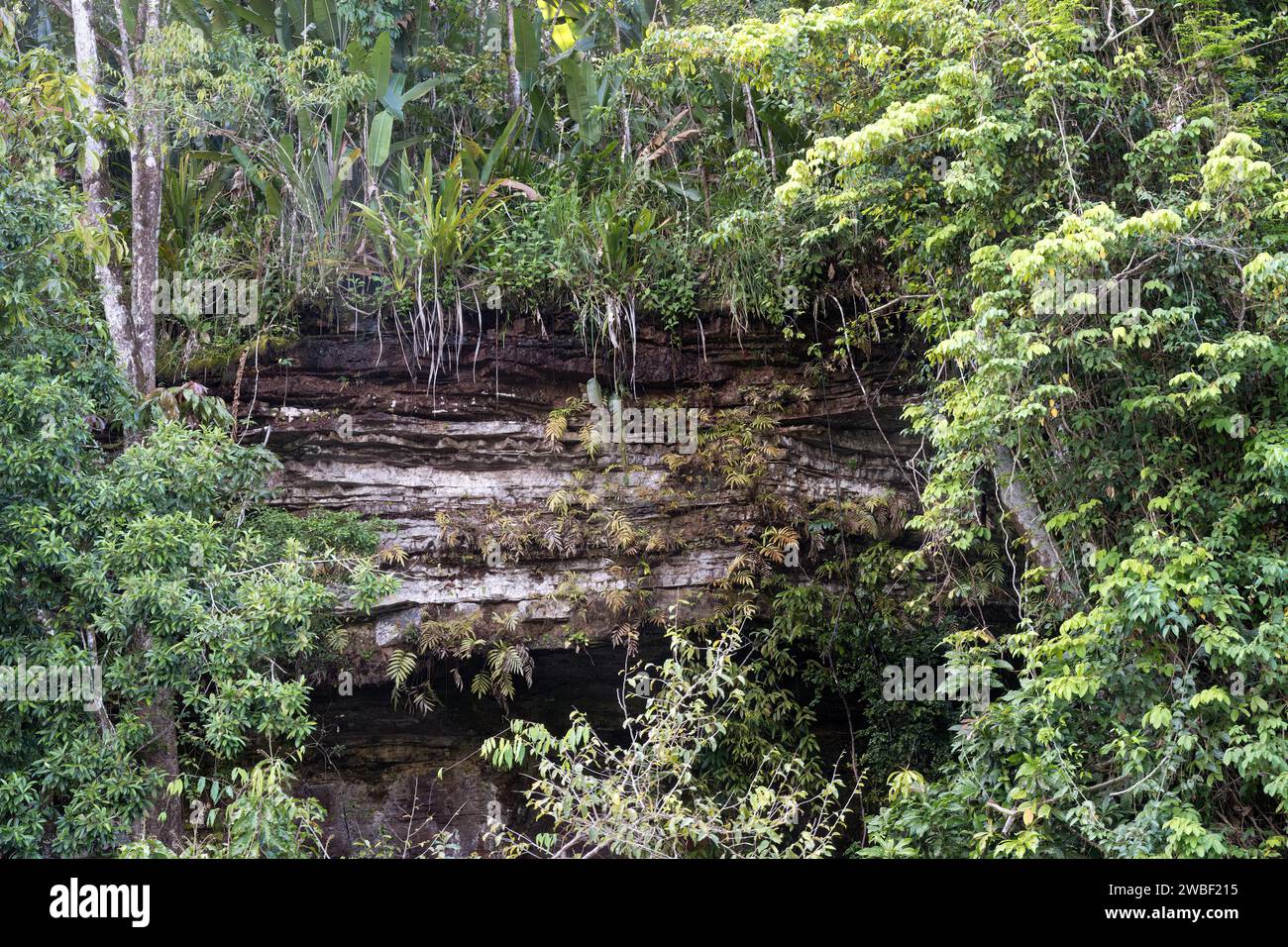 Felsformation entlang des Flusses Trombetas, Bundesstaat Para, Brasilien Stockfoto