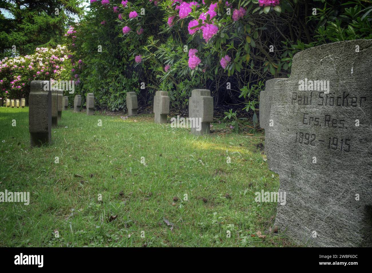 Alter Friedhof mit Grabsteinen und blühenden Sträuchern im Hintergrund, Wuppertal Elberfeld, Nordrhein-Westfalen, Deutschland Stockfoto