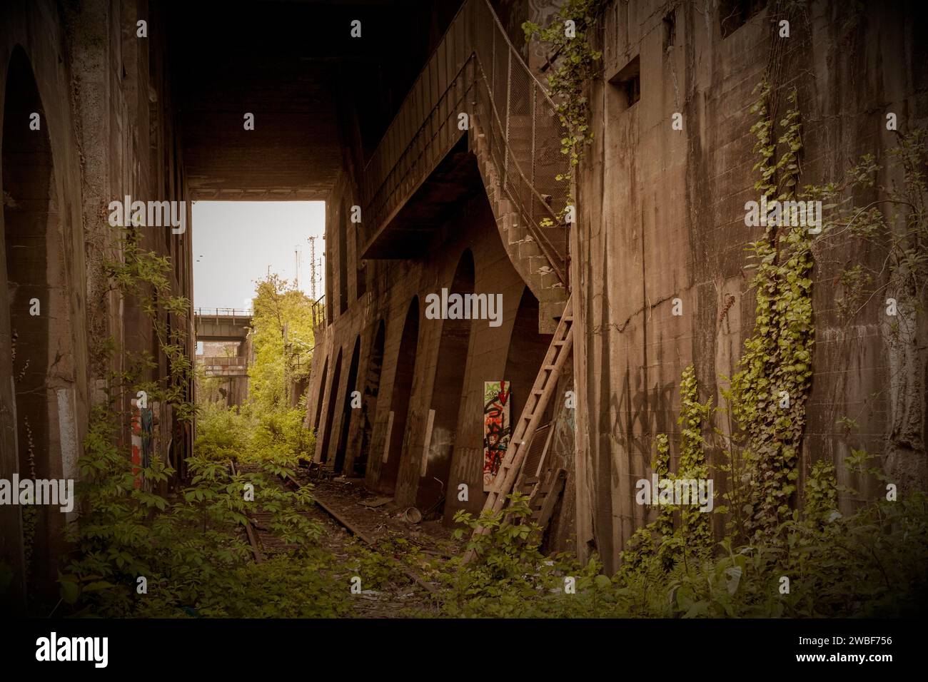 Eine geheimnisvolle, verlassene Brücke mit Bögen, umgeben von Pflanzen und Graffiti, ehemalige Eisenbahnzweig Rethel, Lost Place, Flingern, Düsseldorf, Nord Stockfoto