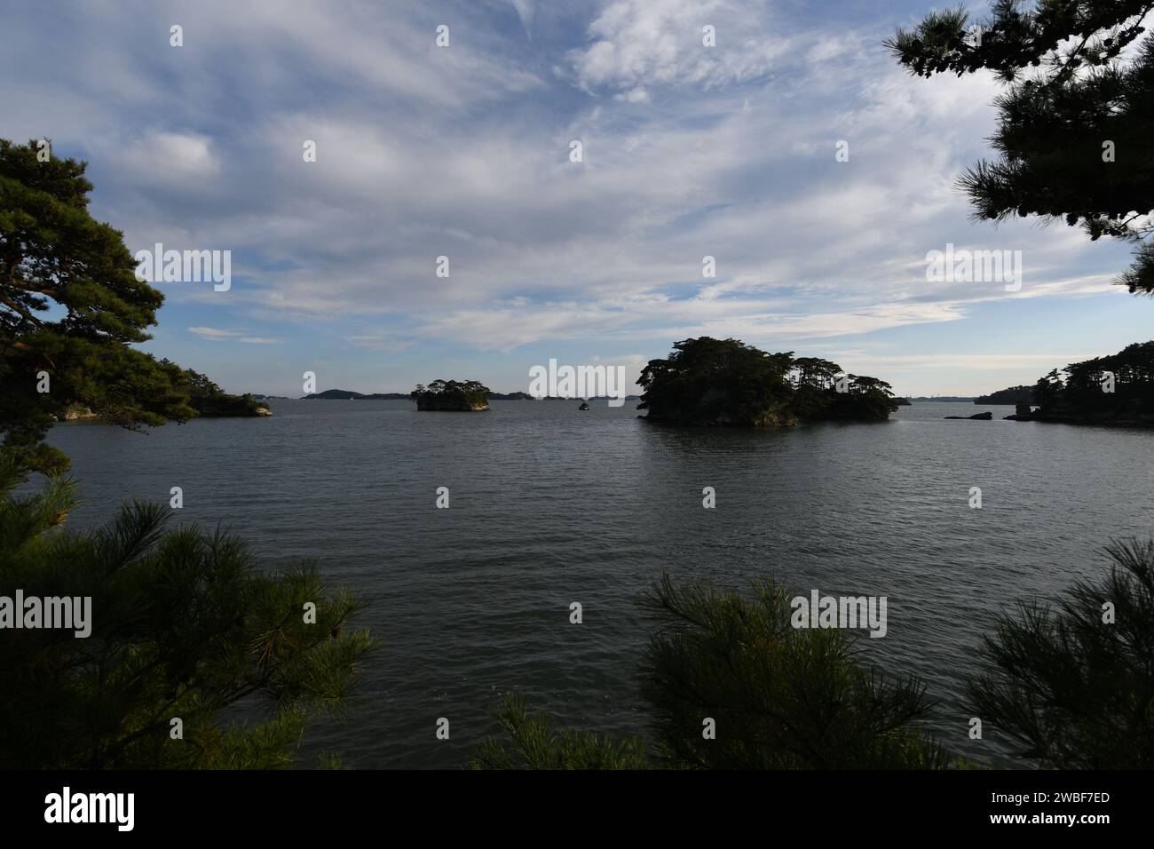 Ein ruhiger See mit üppigen Bäumen und einer majestätischen Kulisse aus flauschigen weißen Wolken Stockfoto