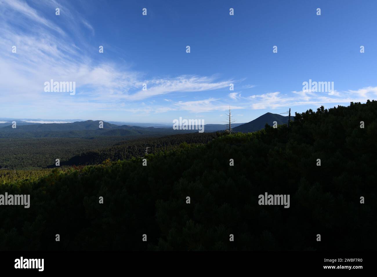 Eine malerische Landschaft mit üppig grünem Laub und bergigem Gelände, beleuchtet durch das warme Sonnenlicht eines klaren blauen Himmels Stockfoto