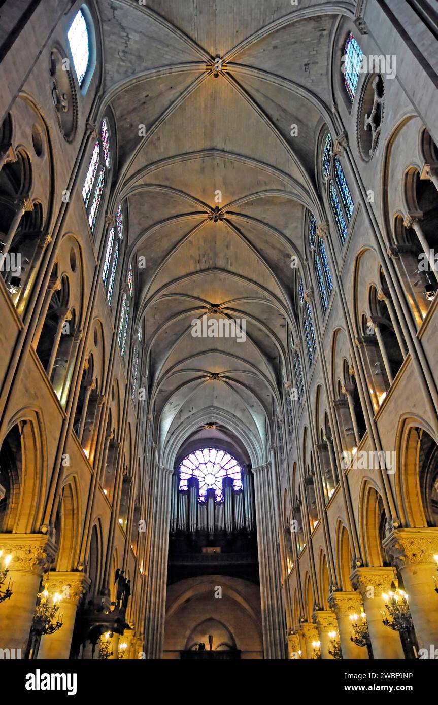 Deckenblick, Kathedrale Notre-Dame de Paris, Ile de la Cite, 4. Arrondissement, Paris, Frankreich Stockfoto