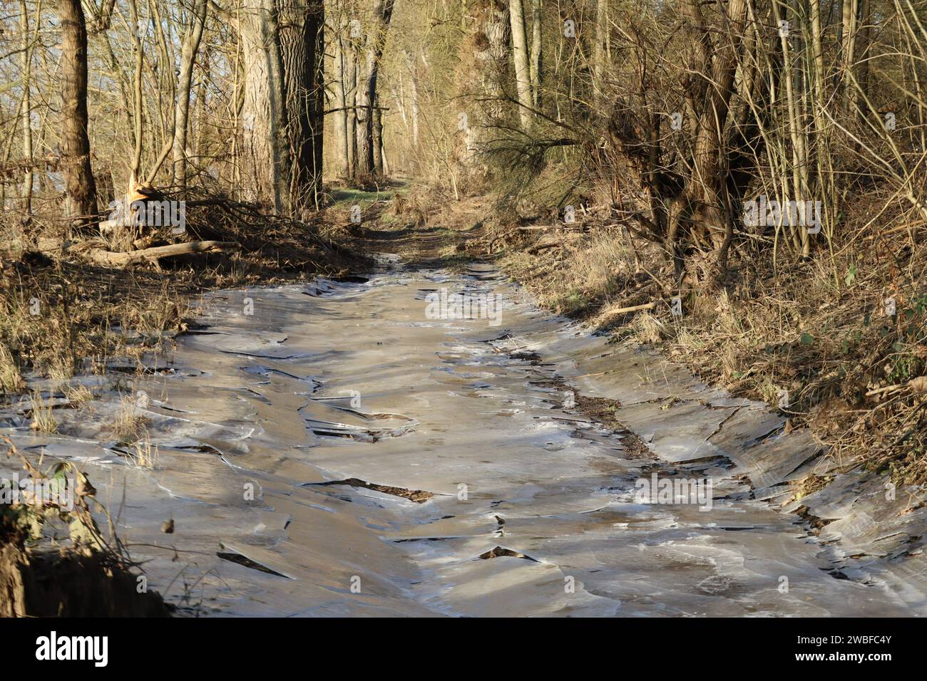 Zerquetschte Eisschicht auf einem ehemals überfluteten Pfad Stockfoto