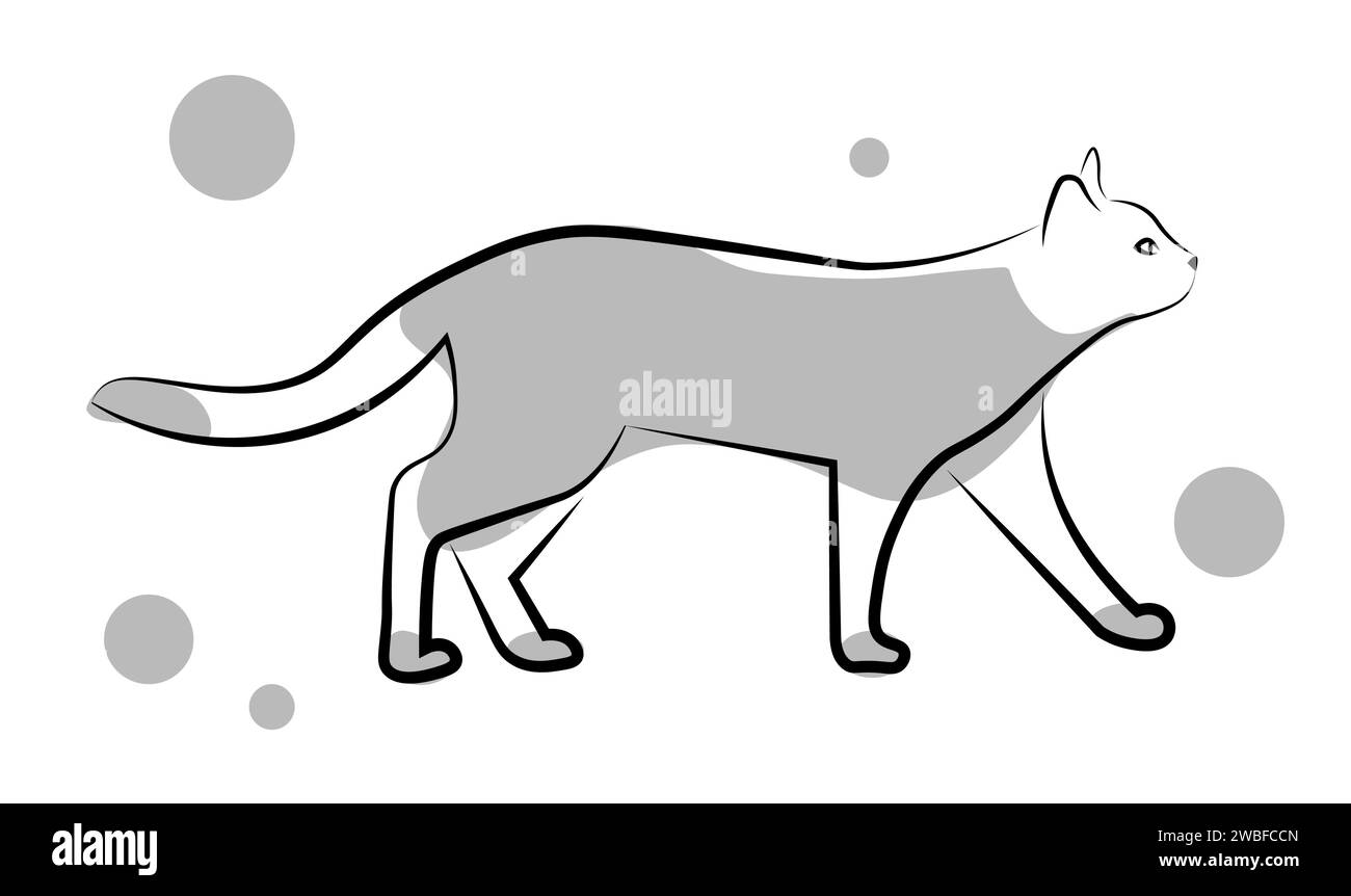Graue Katze auf weißem Hintergrund Stock Vektor