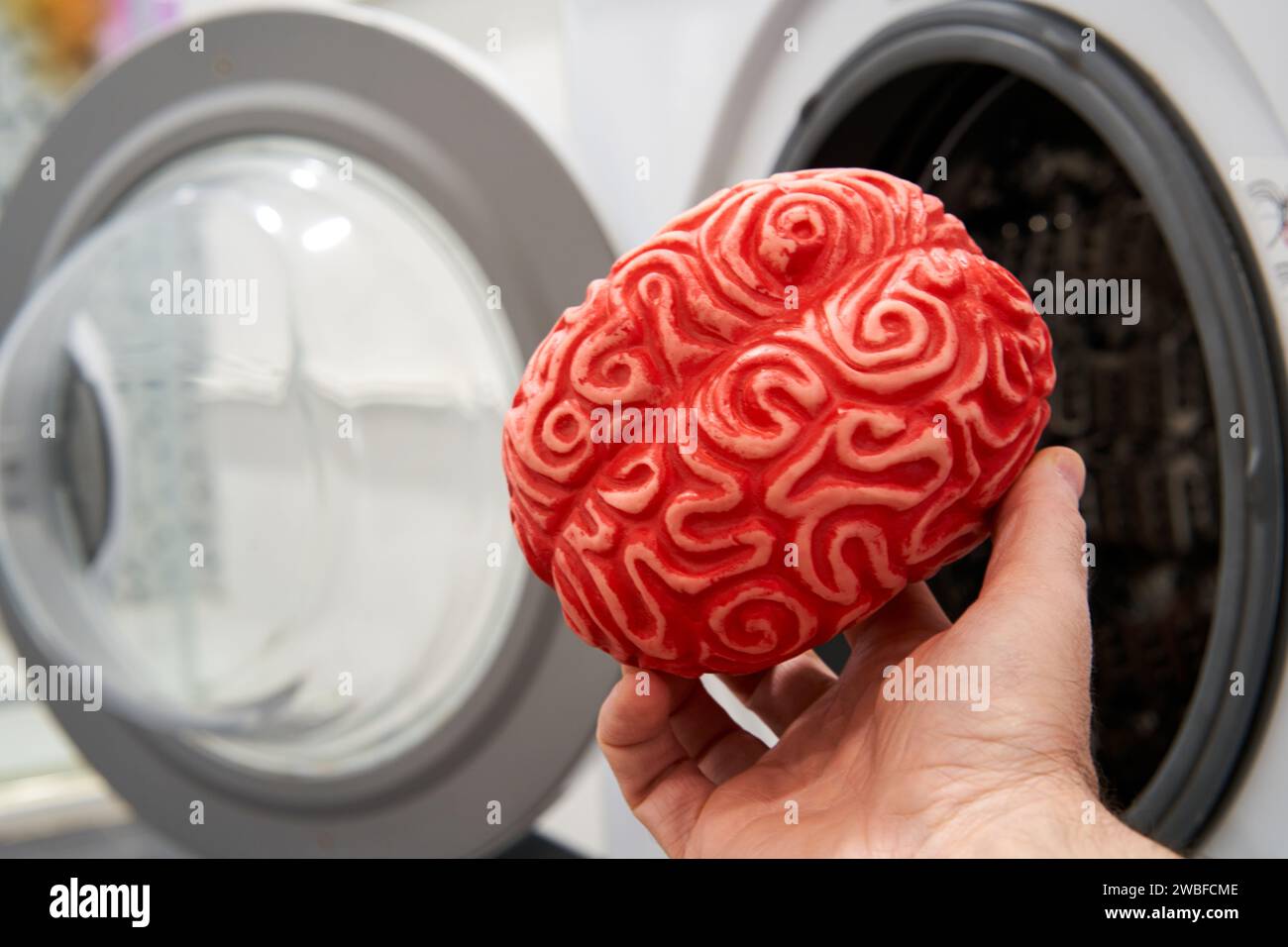 Hand, die ein Gummihirn in eine Waschmaschine bringt, Gehirnwäschekonzept. Stockfoto