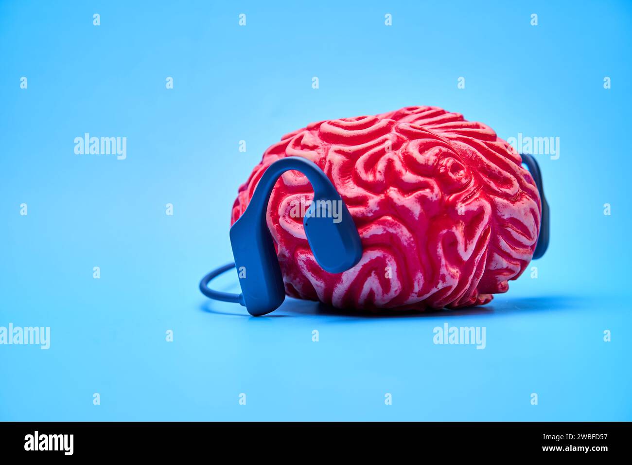 Rotes Gummigehirn mit Kopfhörern auf blauer Oberfläche. Brain Rest-Konzept. Stockfoto