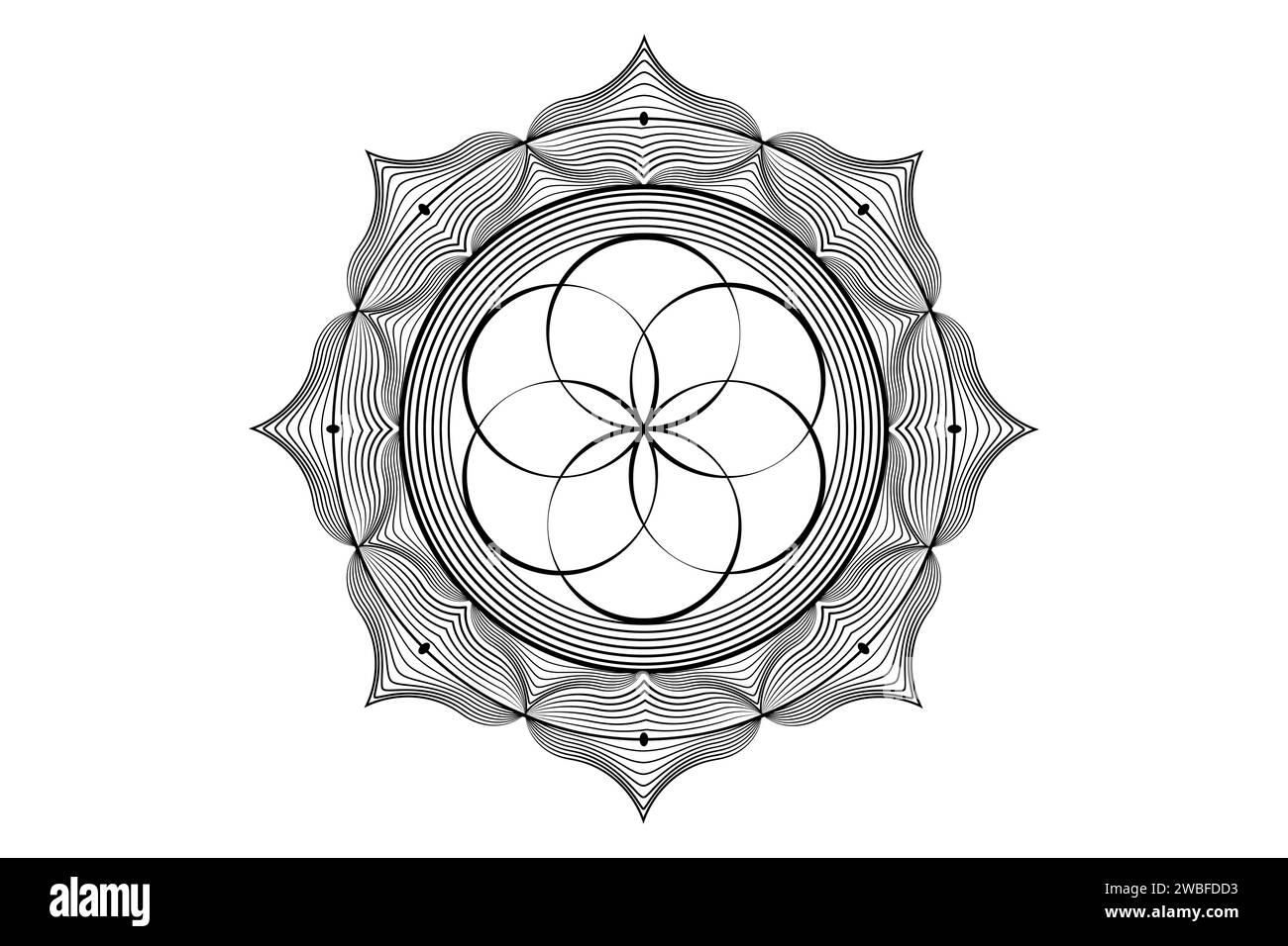 Heiliger Lotus Mandala, mystische Blume des Lebens. Heilige Geometrie, grafisches Element des Vektorlogos isoliert. Mystische Ikone Samen des Lebens, abstrakte geometrische Stock Vektor