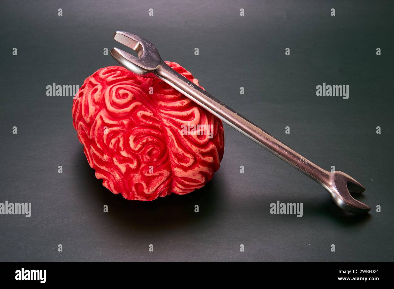 Ein Schraubenschlüssel auf einem roten falschen Gehirn. Das Konzept, deinen Verstand zu fixieren. Stockfoto