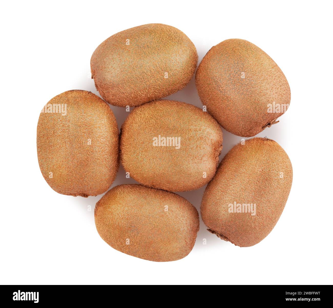 kiwi-Pfad isoliert auf weißer Draufsicht Stockfoto