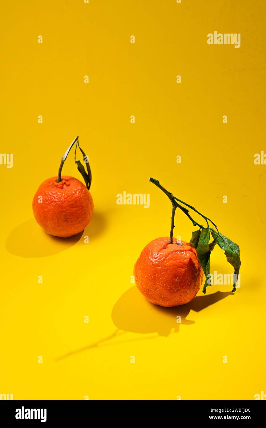 Eine Bilderserie von Orangen aus ökologischem Anbau auf gelbem Hintergrund, im richtigen Licht. Stockfoto