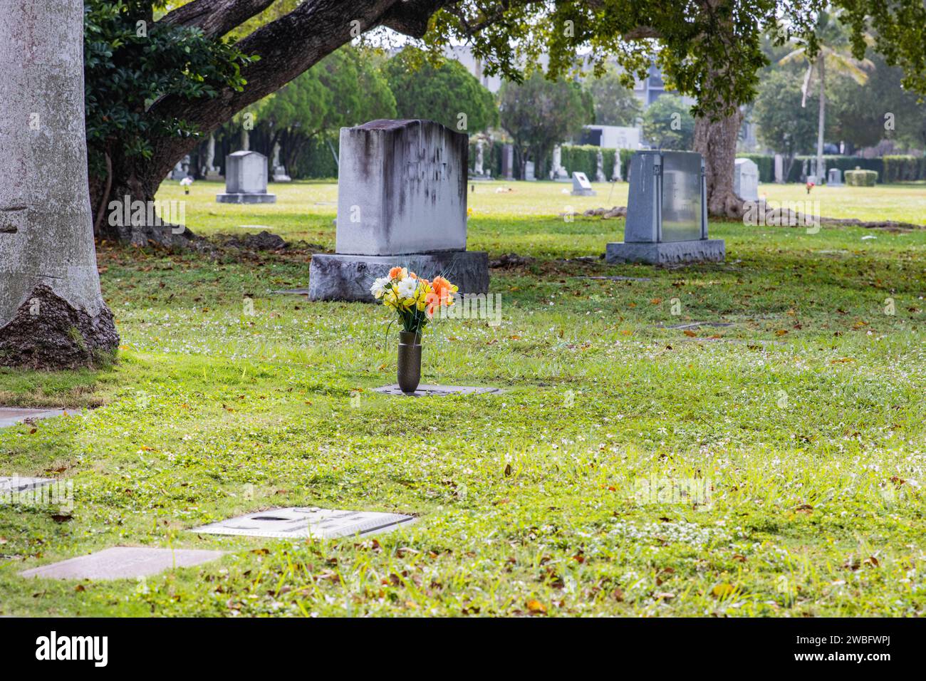 Blume auf einem Grab auf einem Friedhof in Florida. Stockfoto